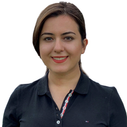 Ilnaz Sarhangi Fard