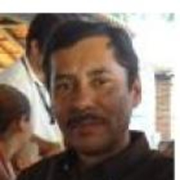 luis flores