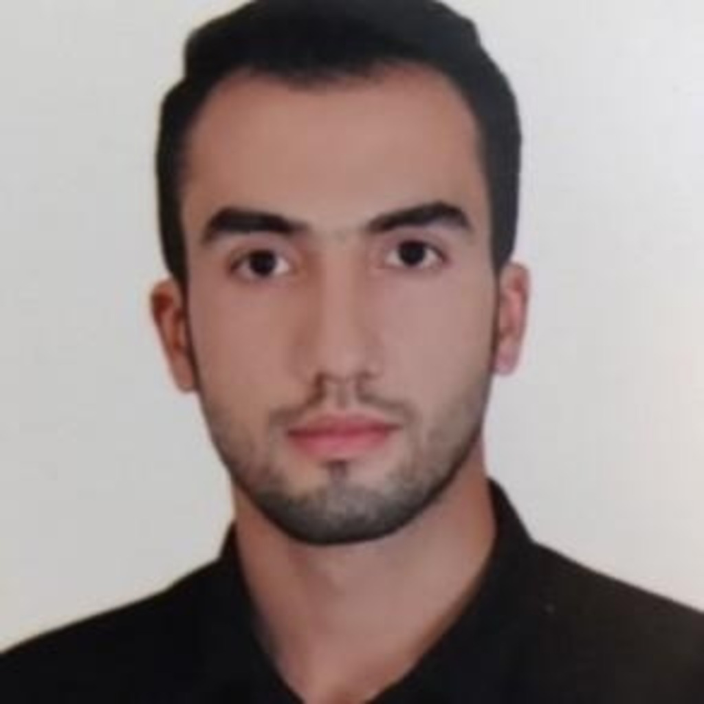 Mohammad Mahmoudi Electronics Engineer Nian Electronic XING