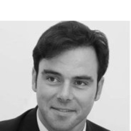 José Agustín Cruelles Ruiz's profile picture