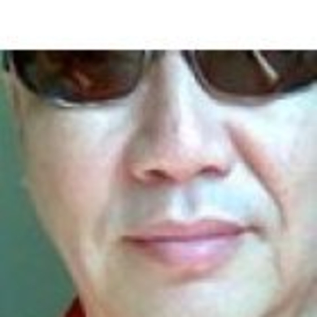 Thomas Jer Lin Fan CEO Thomas service Int.Inv.Ltd. XING