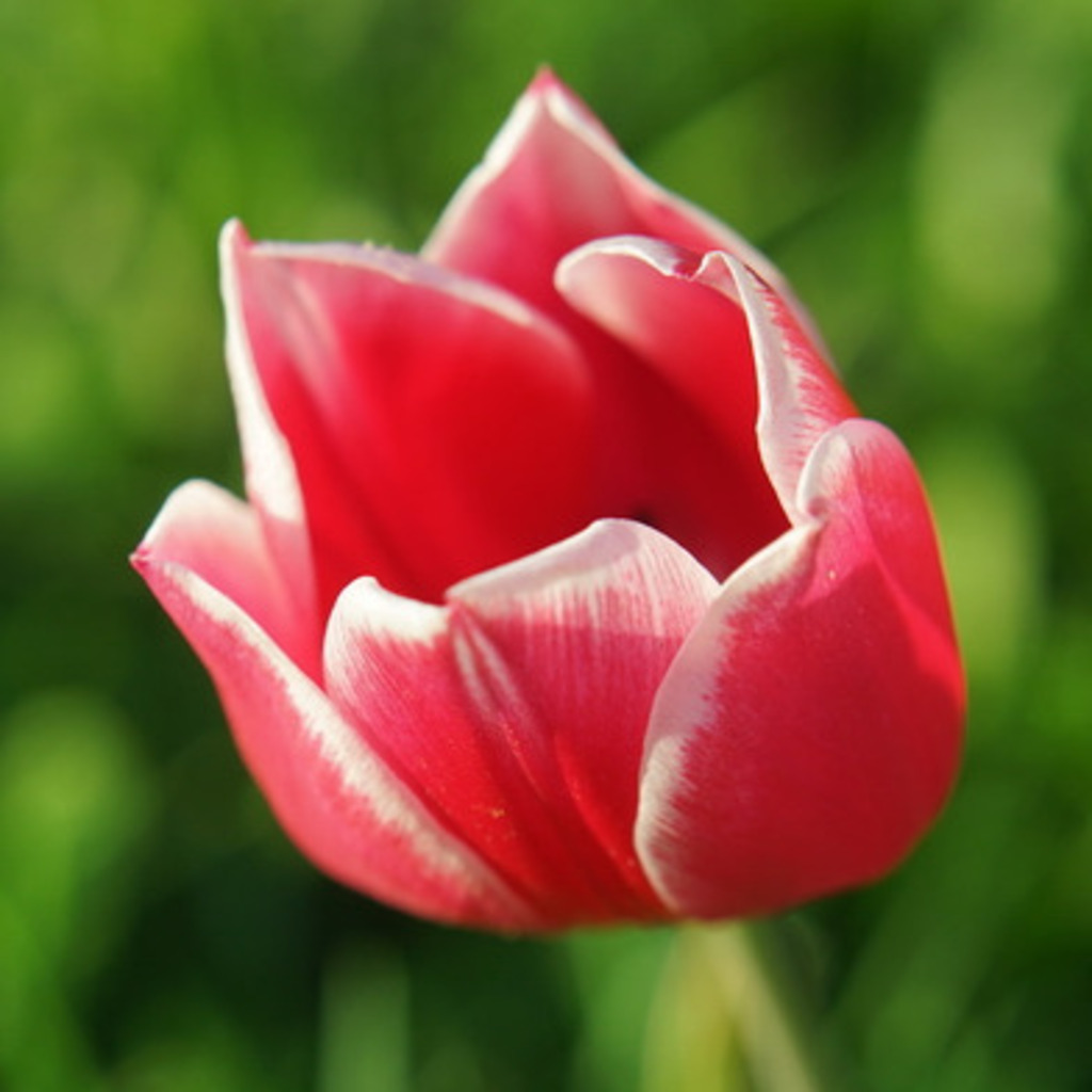 igor-obu-legal-counsel-head-of-team-project-manager-project