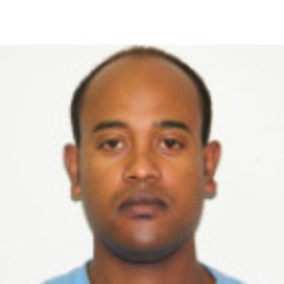 Bereket Tadesse