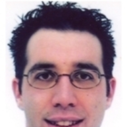 Raffaele Bracci