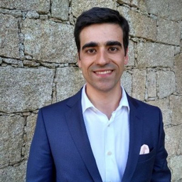 João Veloso's profile picture