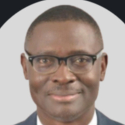 Babafemi Olabiyi