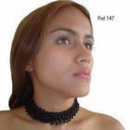 Dr. Andrea Bolivar Hurtado