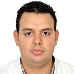 Mohamed Ghamry