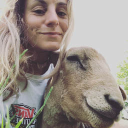 Kristin Schimke