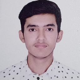 Ameer Hamza