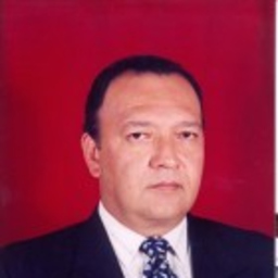 Carlos Perez Documet