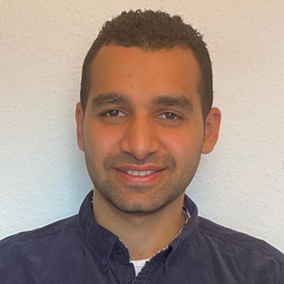 Mostafa Abdelshafy