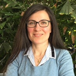 Dr. Siba Hein