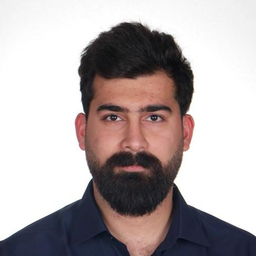 Pouya Mohammadalizadeh