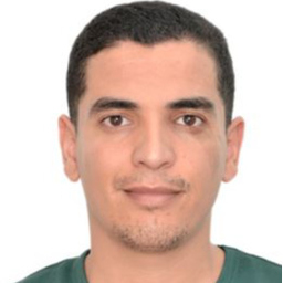 wadih hajjej