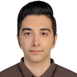 Dr. Seyed Mehrdad Hosseini