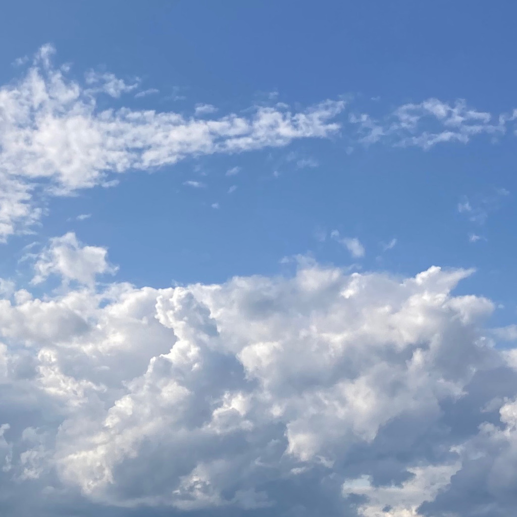 Sun Jiahui Statistics Universität Hamburg XING