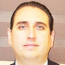 Prof. Dr. ANGEL GUERRA