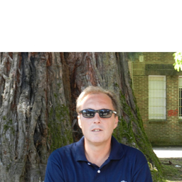 Manuel Fandos Laguarda's profile picture