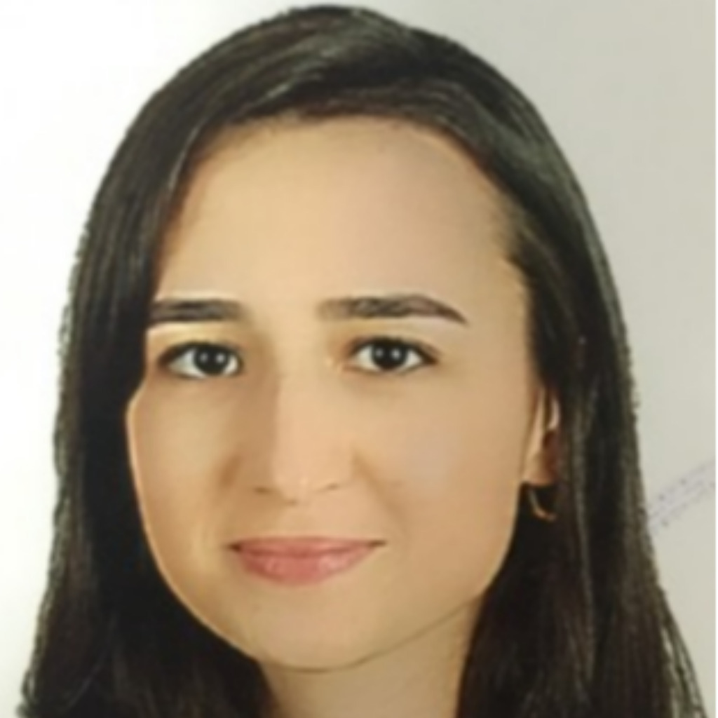 aygul-topaloglu-mobile-investment-planning-and-regional-marketing-specialist-data-analyst