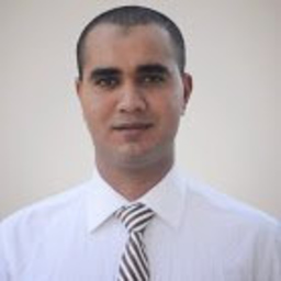 Mohamed Lotfi Mahjoub