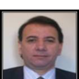 Leonardo Gozzerino