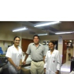 Prof. Ernesto Diaz