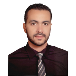 Mohamed Hamdy