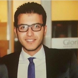 Profilbild Wael Dridi