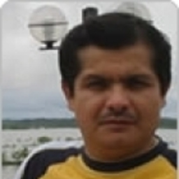 Dennis David Dávila Picón