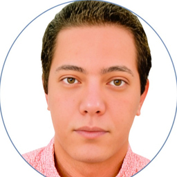 Ibrahim Lotfi