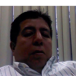 Prof. Dr. Jorge Mateos Cortés