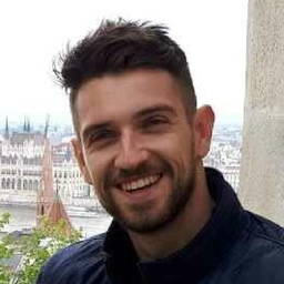 Denis Hasanbasic