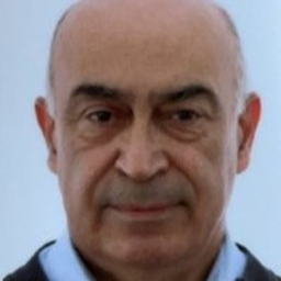 Homayoon Shamsa