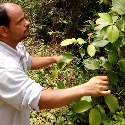 Prof. jose manuel alvarez torres