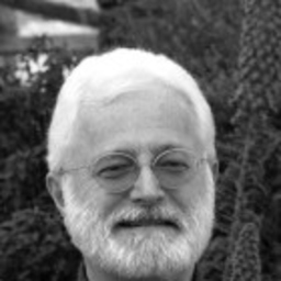 Carlo Bruschi