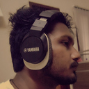 Partho sarothi