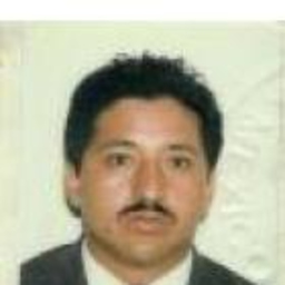 RAUL SALAYA PALMA
