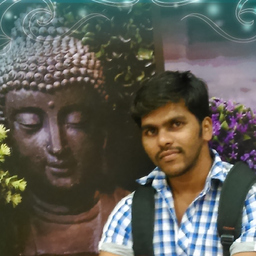 Raja Dhandapani