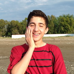 shayan kashi