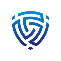 Deepstrike io