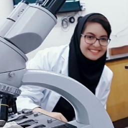 Fatemeh Lotfi