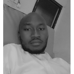 Abdulmumini MOHAMMED