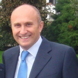Stefano Ciafaloni