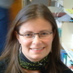 anne Krattinger