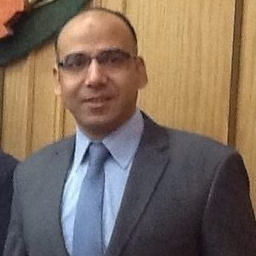 Walid Elsabagh