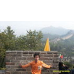 晟 金