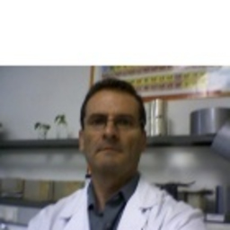 Octavio Molina Holgueras