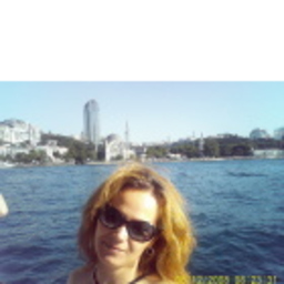 Nilsel Eraydin