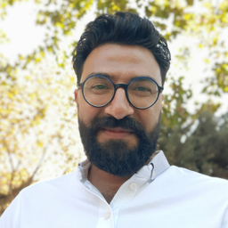 Mohammed Hussain Mostaghimi